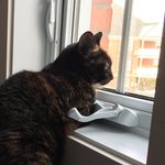 Eric - @eric.brodeur.33 - Instagram