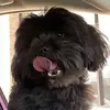 Eric Brosch - @eric.brosch0 - TikTok