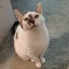 Eric Brown - @eric.brown036 - TikTok