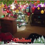 Eric Brownfield - @brownfield.eric - Instagram