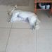 Eric Brownson - Facebook