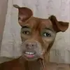 ekeroo - @erickbuscato - TikTok