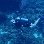 Eric Bruggeman - @ericbruggeman - Instagram