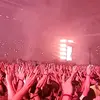 Eric van den Brugge - @ericvdbrugge - TikTok