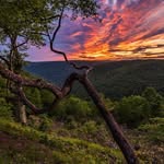 Eric Brumbaugh - @ericbrumbaugh87 - Instagram