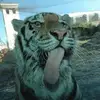 Eric Brumfield790 - @geaux_who_dat - TikTok