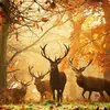 Eric Brune - @eric.brune2 - TikTok