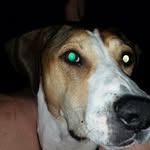Eric Bruning - @bruningeric - Instagram