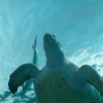 @eric_.buchanan - Instagram