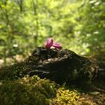 Eric Bucher - @eric_bucher06 - Instagram