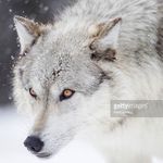 Eric Bucher - @eric.bucher.370 - Instagram