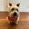 ewic - @eric.buck - TikTok
