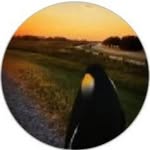 eric buckles - @eric_buckles522 - Instagram