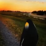 Eric Buckles - @eric_buckles52 - Instagram