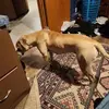 ericbuckner3 - @ericbuckner3 - TikTok