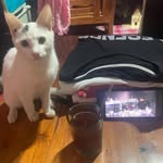 Eric Mendoza Bulatao - @eric03.003 - Instagram