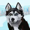 ericbundy - @ericbundy - TikTok