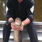 Eric Burden - @eric.burden - Instagram