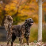Craig Eric Burford - @burfman73 - Instagram