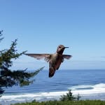 Eric Butterfield - @butterfield5426 - Instagram