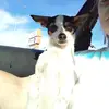 ericabutterfield9 - @ericabutterfield9 - TikTok