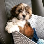 Freddie Eric Button - @freddieericbutton - Instagram