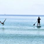 Eric Byers - @frugalbyers - Instagram