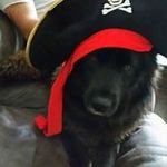 Eric Byers - @eric.byers.56 - Instagram