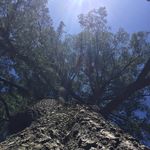 Eric Byers - @eric.byers.52 - Instagram
