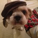 Eric Byun - @erbyun - Instagram