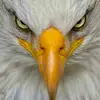 Eric Cabrera - @cabrera.1972 - TikTok