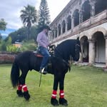 Eric Cabrera - @perico11_ - Instagram