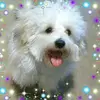 Eric Cade - @2181564308 - TikTok