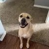 eric._.calhoun - @eric._.calhoun - TikTok