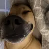eric.calhoun - @eric.calhoun - TikTok
