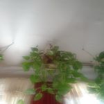 Eric Caraballo - @eric.caraballo.712161 - Instagram