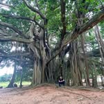 Eric Rafael Caraballo Coley - @ericcaraballo99 - Instagram