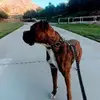 Eric Carcamo - @eric.carcamo3 - TikTok