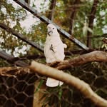 Eric Carleton - @appalairmak - Instagram