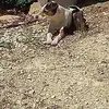 Eric Carlin725 - @ericcarlin57 - TikTok