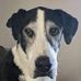 Eric Carlin - Facebook
