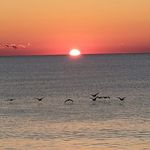 Eric Carmack - @e.carmack3.25 - Instagram