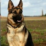 Eric carman - @ericcarman28 - Instagram
