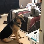 Eric Carmody - @efcarmody - Instagram