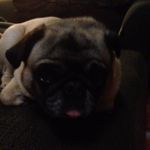 Eric Carnes - @theizzynetwork - Instagram