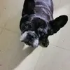 ericcaron718 - @ericcaron718 - TikTok