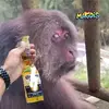 Minio  Carreon - @eric.carreon7 - TikTok