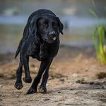Eric - @eric_carstens - Instagram