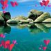 Eric Carter - Facebook