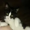 ayo bro978 - @eric_caruso - TikTok